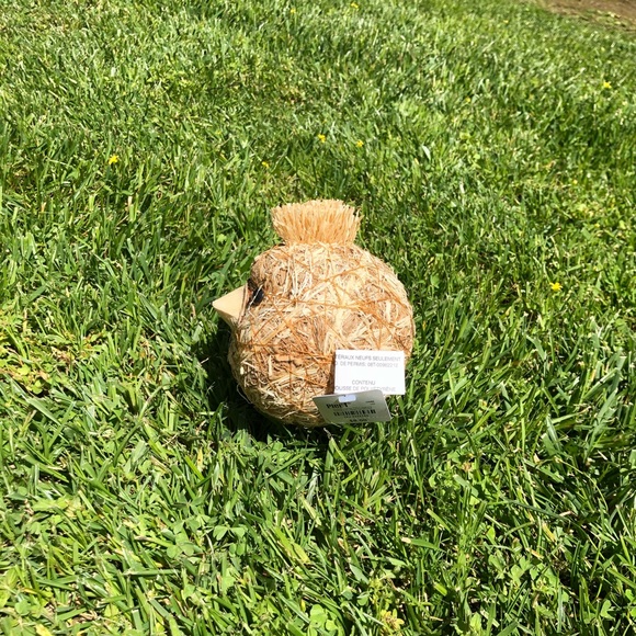 NWT Pier 1 Imports Decorative Natural Vase Filler - Picture 3 of 13